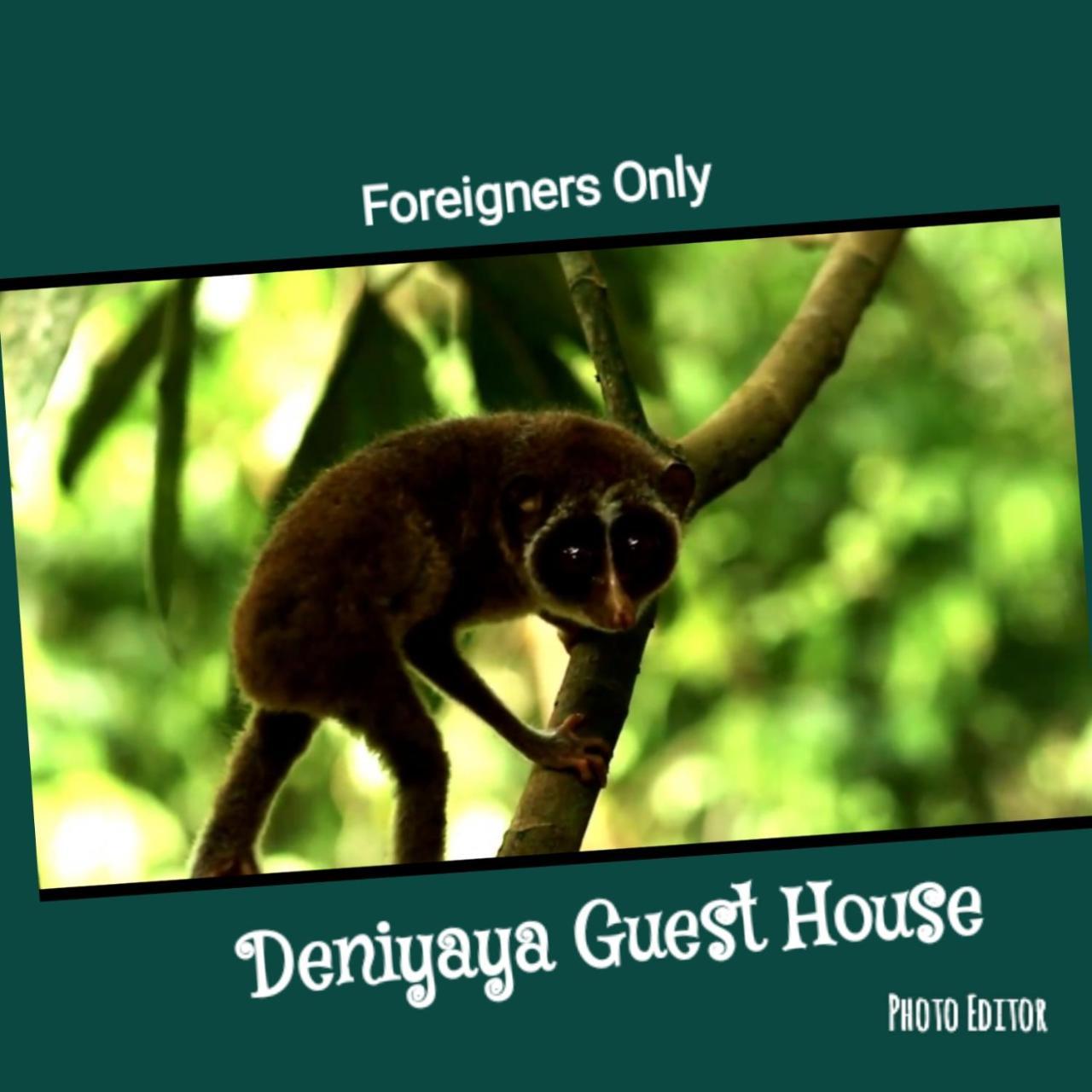 Deniyaya Guest House エクステリア 写真